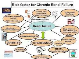 Risk Factors For Chronic Renal Failure Renal Failure Dialysis Nurse Renal