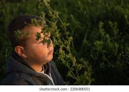 20+ Thousand Sun Shining Eyes Royalty-Free Images, Stock Photos & Pictures 