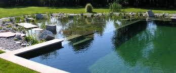 How much water to use when watering an established lawn, it's typically recommended to water until the top 6 to 8 inches of soil (where most turfgrass roots grow) is wet. Your Pool Uses Less Water Than Your Lawn Best Pool Builder In Houston