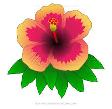 Imagine replicating your flowers in the form of flower drawings! How To Draw A Hibiscus Drawing That Looks Realistic