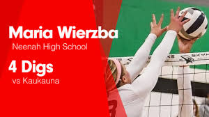 Maria Wierzba - Hudl
