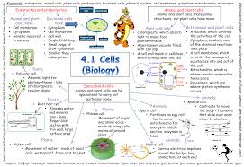 Gcse Biology Cells Biology Revision Gcse Biology Revision Gcse Science