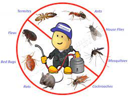Tell us what pest control treatment you need. Pest Control In Uae List Of Pest Control Services Page 4 Uae