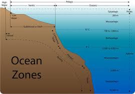 Ocean Zones Read Earth Science Ck 12 Foundation