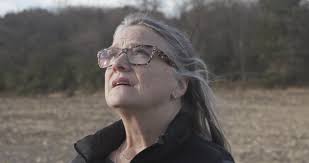 zlcAdvent2024trailer.mp4