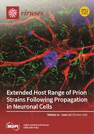 Check spelling or type a new query. Viruses October 2019 Browse Articles