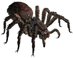 Giant Spider From The Lord Of The Rings War In The North Spider Art Giant Spider Fantasy Monster