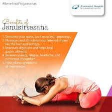 Janusirsasana Or The Head To Knee Pose Is An Excellent Asana To Increase The Flexibility Of The Hamstring Muscles Back Thighs Joints Arms And The Shoulders