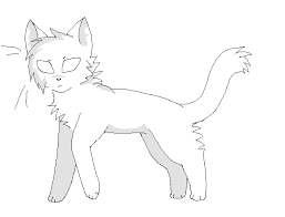 Don't repost, if you draw the design please clearly credit me and tag me. Warrior Cat Template By Sandpoolwarriors On Deviantart