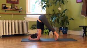Progressing To Headstand With Fiji Mcalpine Doyogawithme Com Headstand Restorative Yoga Yoga Progress