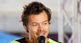 Harry Styles Talks Having a Work/Life Balance: 'Working Is Not Everything  About Who I Am'
