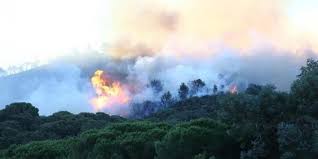 Incendie Terrible A La Croix Valmer Nouveau Depart De Feu Au Cap Lardier Parc National Port Cros Porquerolles