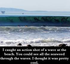 Humor Train Unbelievable Pictures Scary Photos Creepy Pictures