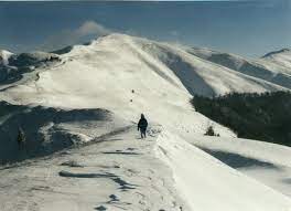 Sinaia, vizualizaţi vremea de mâine. Previsions De Neige De Sinaia A 1515 M