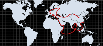 First, they all suffer from poor transport and power infrastructure which accentuates their inaccessibility. One Belt One Road The Economist Intelligence Unit