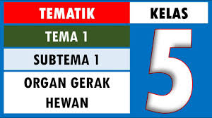 Untuk mempersingkat waktu, mari kita bahas satu persatu soal ulangan tersebut. Revisi Soal Tematik Kelas 5 Tema 1 Subtema 1 Organ Gerak Hewan Youtube