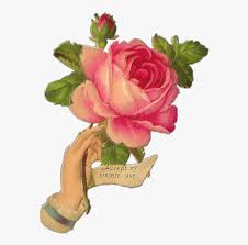 Hearts with roses cross stitch pattern pdf embroidery hoop art cross stitch design embroidery heart hearts and roses flowers roses stitch fabric: Roses Floral Tumblraesthetic Roseaesthetic Aesthetic Free Vintage Cross Stitch Rose Patterns Hd Png Download Transparent Png Image Pngitem