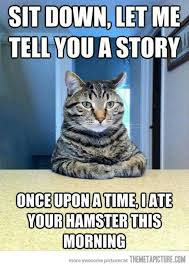 12 Animal Memes That Make Us Lol Silly Animals Cats Cat Shaming