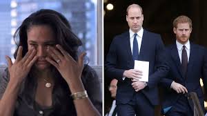 Meghan Markle reduced to tears after palace issued statement about Prince  William's bullying claims