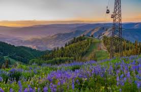 Site in estes park, colorado. The Ski Com Summer Mountain Vacation Guide 2021