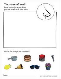 The Sense Of Smell Preschool Worksheet In 2020 Kids Preschool Learning Preschool Worksheets Senses