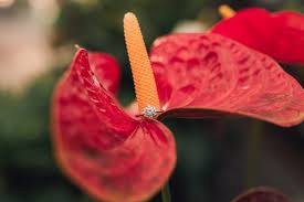 Discount store in salt lake city, utah. Bride Tip Salt Lake City Wedding Venues And Wedding Receptions Guide