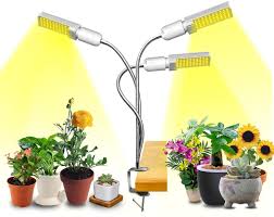 Why invest in indoor plants? The Best Grow Lights For Indoor Plants In Canada In 2021