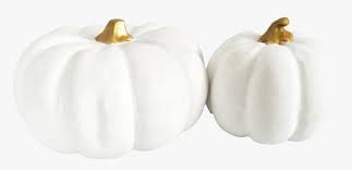 We are dedicated to helping you and your partner plan and prepare for your special day. White Pumpkin Transparent Hd Png Download Kindpng