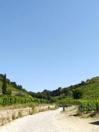 Les dentelles de montmirail rustrel : Belvederes Et Vignobles De Tain L Hermitage 26 Randonnees Dans Les Alpes Et Un Peu Plus Loin Emilie Deck