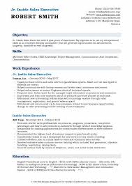 Use our sales executive resume template for word to create a skills. Inside Sales Executive Resume Samples Qwikresume
