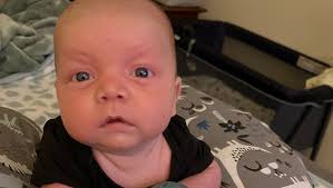 Fundraiser by Joe Willard : Support Watson's Fight Against Viral Meningitis