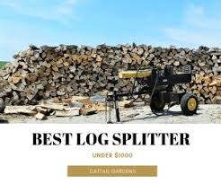 Best Log Splitter Under 1000 Updated 2020