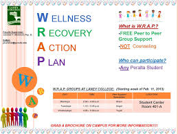 Sample Wrap Wellness Recovery Action Plan Images Frompo Wellness Recovery Action Plan Action Plan Template Action Plan