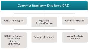 Areas of study by type. Center For Regulatory Excellence Ncsbn