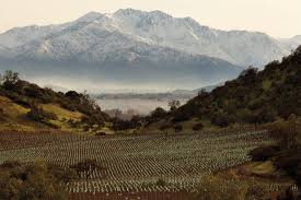 Remekül sikerült számunka a szezon vége, a befektetett munka meghozta gyümölcsét: Santa Rita Santa Rita Reserva Carmenere Chile 13 5 Vol 75cl Save 3 Bedroom Apartment With Pool Bbq And Mountain View Juna Nasar