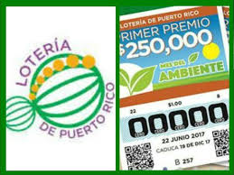 Pin En Loteria De Puerto Rico