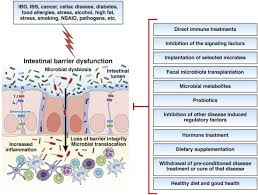 Chong pang is part of nee soon group representation constituency (formerly sembawang group representation constituency until 2011). Regulation Of Intestinal Barrier Function By Microbial Metabolites Cellular And Molecular Gastroenterology And Hepatology