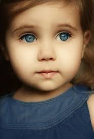 iris krauss (kraussiris46)