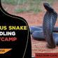 Venomous Snake Handling Bootcamp event image