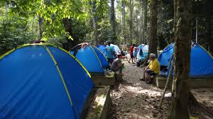 Check spelling or type a new query. Best No 1 Campsite In Selangor Sungai Congkak Recreational Forest Jomcamp