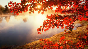 We have a massive amount of desktop and mobile backgrounds. Peaceful Autumn Scene Wallpapers Wallpaper Cave