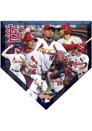 We did not find results for: St Louis Cardinals 500 Piece Homeplate Puzzle