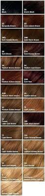 Fantastic Men S Hair Color Names For Your With Dark Brown Dye Shades Hair Color Chart Brown Color Names Brown Hair Color Chart