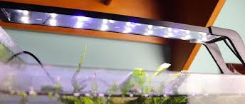 Plus, some led aquarium lights are dimmable, allowing you to control the light intensity in case the final category to consider is how far the light spreads or disperses. Best Led Fish Tank Lights Grow Plants Faster Zenaquaria