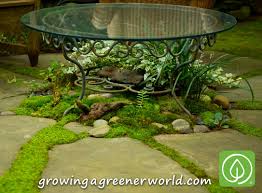 Put a layer of crushed stone or gravel in the bottom of a vessel for drainage. Episode 319 Moss Gardens Growing A Greener World