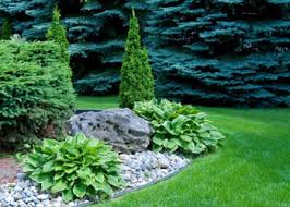 Maybe you would like to learn more about one of these? Lawn Care Beverly Hills Bush Home Services