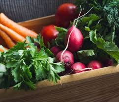 jardiner au potager en mai quels fruits et legumes semer et planter potager idee legume fruits et legumes