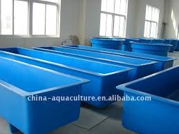 Aquaculture Fish Farm Tank For Fish Rearing Aquaponics System Aquaponics Aquaponics Fish