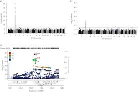 Een surinaamse kind wordt in columbia geopereerd. Genetic Regulation Of Il1rl1 Methylation And Il1rl1 A Protein Levels In Asthma European Respiratory Society