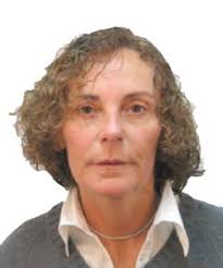 Directorio de Recursos Humanos afines a la CTI